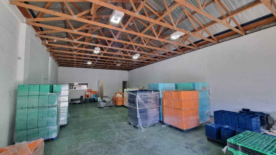 To Let commercial Property for Rent in Observatory Western Cape